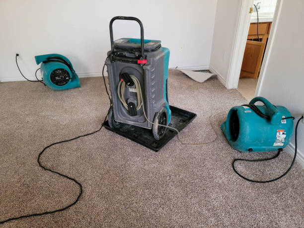 Best Water damage cleanup near me  in North Lakeport, CA