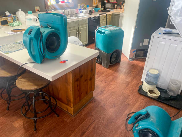 Best Water damage restoration process  in North Lakeport, CA