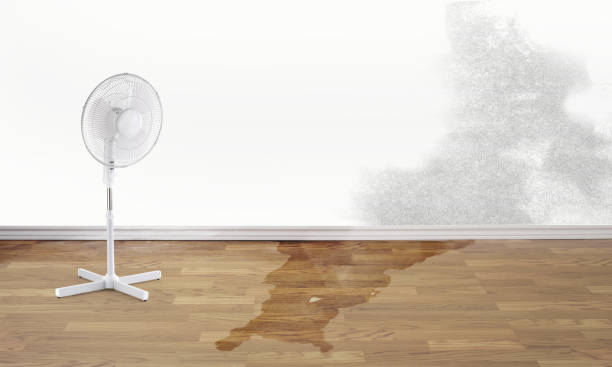 Best Flood damage cleanup  in North Lakeport, CA