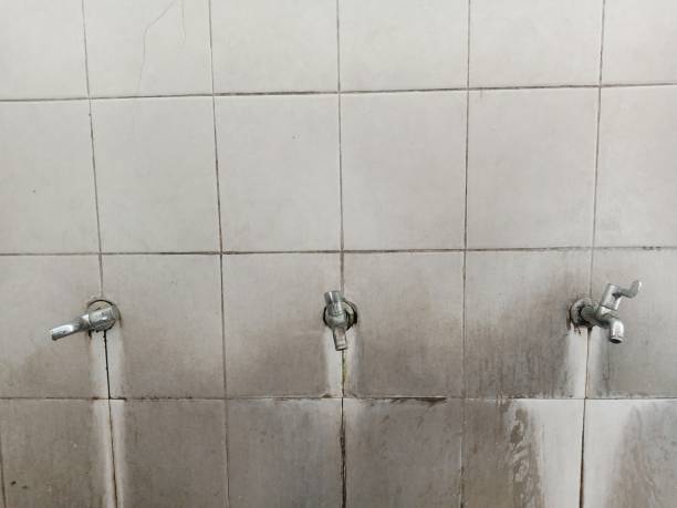 Best Water damage restoration specialists  in North Lakeport, CA