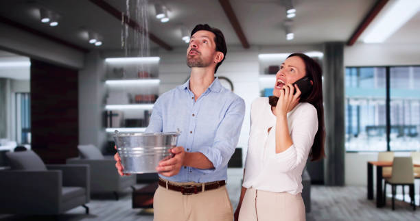 Best Ceiling water damage repair  in North Lakeport, CA