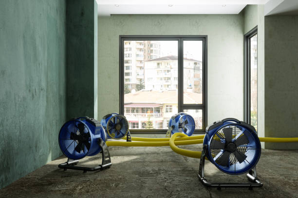 Best Water damage restoration experts  in North Lakeport, CA