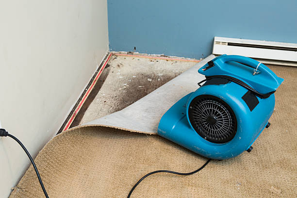 Best Water damage restoration near me  in North Lakeport, CA